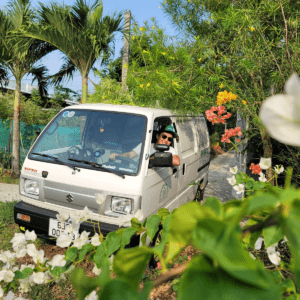 suzuki-blind-van